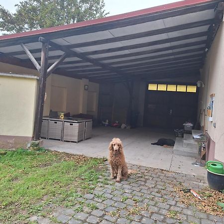 Ferienhaus Herztor Bad Bibra Екстериор снимка