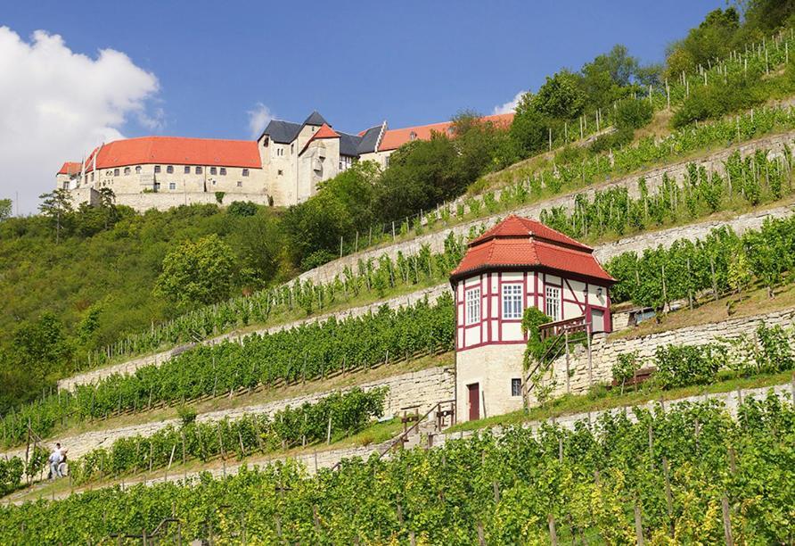 Ferienhaus Herztor Bad Bibra Екстериор снимка