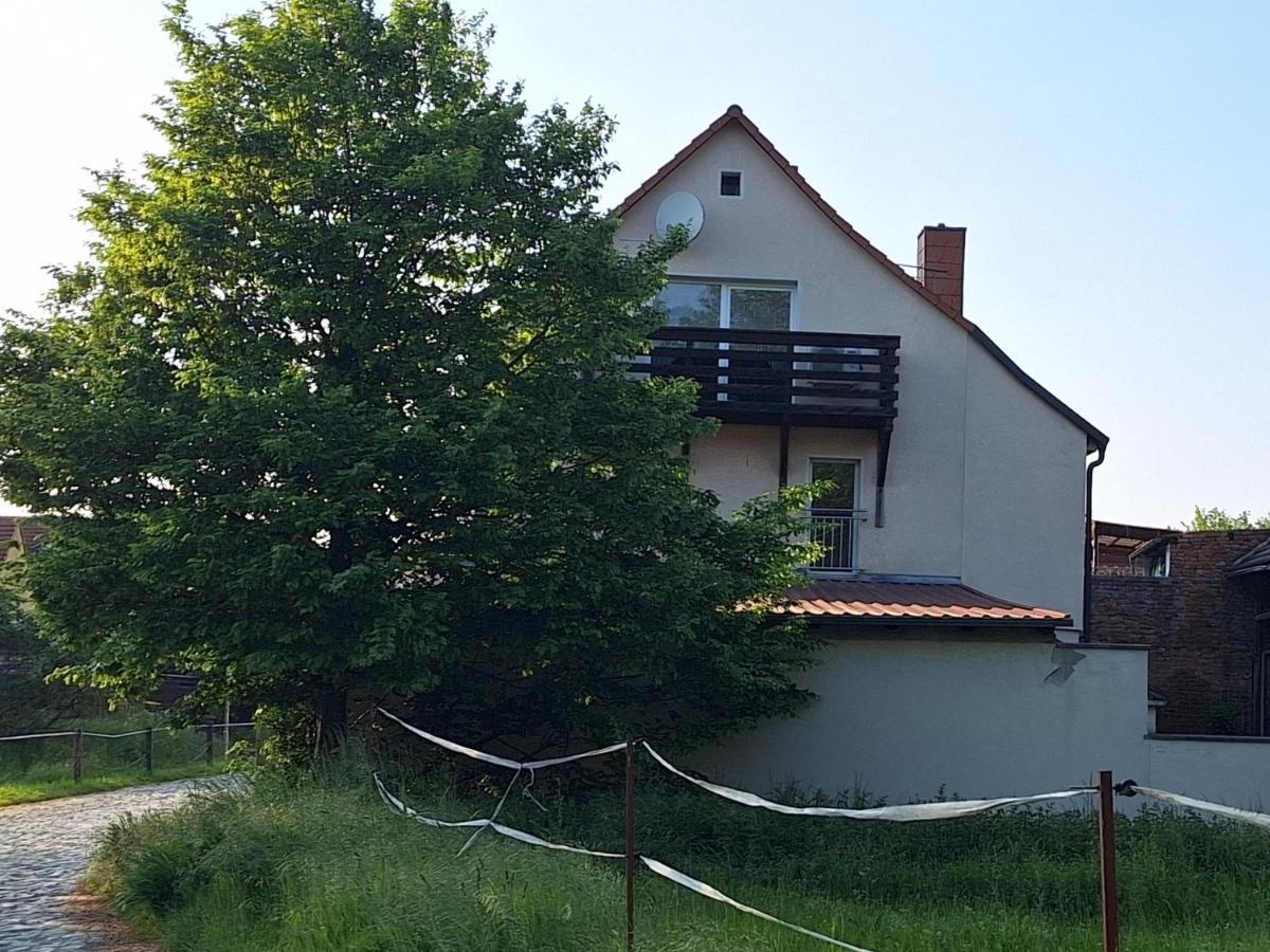 Ferienhaus Herztor Bad Bibra Екстериор снимка